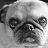 Static grayscale icon of a stylized dog face with prominent ears and eyes, rendered in low-resolution pixel art style on a transparent background.