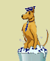 Animated cartoon dog in blue hat and tie stands in soapy bucket, performing actions like holding a brush, raising paw, or extending arm.