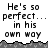 Pixelated text repeats 'He's so perfect... in his own way' across a with gray terrain-like borders