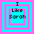 Four identical pixelated icons arranged in a , each with cyan and pink concentric squares surrounding black text reading "I Like Sarah" on a solid background