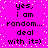 Pixelated text on a bright pink background with white speckles, repeating 'yes, i am random... deal with it=)' in two