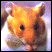Pixelated close-up of a hamster's face with orange-brown fur, black eyes, and white whiskers against a purple gradient background.