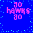 Blue background with cyan pixel dots; pink text 'go hawks go' in four identical arrangements. No visible motion changes across observations.