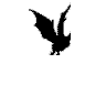 Five black silhouette icons of a winged creature against light gray background, each in distinct pose with varying wing positions and body orientation.