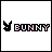 Pixel art contact sheet showing two frames of an animated buddy icon with a bunny logo and pink text 'BUNNY' on white background.