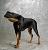 Pixelated static image of a dog standing in profile, facing left, with dark fur on back and head, lighter fur on legs, against a blurred light gray background.