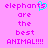 Pixelated text on pink background with cyan heart symbol replacing 's' in 'elephants', repeated twice side-by-side.