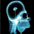 buddysite-11527