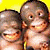 A pixelated animated contact sheet showing two frames of a cartoon monkey character with text on the right side reading "Now Data Holl" against a black background.
