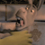 A pixelated figure with light skin and dark hair appears to be shouting or yelling, mouth open wide with tongue visible, against a blurred background.