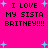 Bright pink background with black pixelated text reading "I LOVE MY SISTA BRITNEY!!!" repeated four times, scattered light blue plus signs as decorative elements.