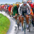 Pixelated static image shows a cyclist in motion on a paved path with green grass and blurred background elements.