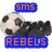 Pixelated panda icon with blue text boxes reading 'SMS' above and 'REBELS' below, orange lettering on blue background.