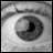 A black-and-white eye image with overlaid text reading "look me in the eye and say i love you"