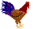 Pixelated rooster with brown body, red comb, blue-and-purple tail feathers, and yellow feet, shown in multiple poses against gray background.