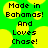 Green background with yellow circular shapes and black pixelated text reading "Made in Bahamas! And Loves Chase!" in two identical side-by-side sections.