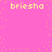 Pixelated text 'briesha' repeated four times on a pink background with scattered yellow dots.
