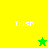 Pixelated icon with four quadrants showing "Trish" text and star symbols on yellow-green backgrounds.