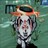 Pixelated static image of a person wearing an orange hat with dark brim, light-colored face, and black-and-white striped clothing against green background.