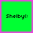Four identical green square icons with black text 'Shelby:' on a pink background, arranged in a