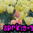 Animated icon with repeating yellow flowers and pink buds, displaying 'spring-9' text in changing colors across two
