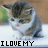 six identical kitten images with text overlays, showing subtle animation changes in the heart symbol below "KITTY"