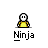 badassbuddy_com-ninja3