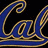 Blue and gold stylized text 'Cal' with wave-like curves and a golden outline on a black background, with partial 'Golden' text below.