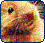 Pixelated image of a stylized animal face with large dark eyes and brown fur-like patterns against a multicolored background.
