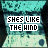 identical pixelated icons featuring text "SHES LIKE THE WIND" over a teal and black background with blue dots