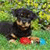 A pixelated dog with dark fur and light brown markings sits on green grass, holding a red object in its mouth, with a blurred green background.