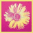 Pixelated flower with yellow and pink petals on a magenta background, bordered by a light yellow frame.