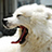 Flickr: The Help Forum: Can't see any images (China June 7th 12.30pm) 中国－看不见图片