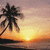 Silhouetted palm tree against a gradient sunset sky with orange, yellow, and purple hues over water.