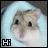Animated sequence of a hamster in light blue bedding with changing mouth expressions and text symbols below.