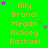 Green background with repeated orange text names and scattered pink/purple stars, static display.