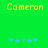 Green background with yellow text 'Cameron' at top, blue and green puzzle-piece shapes below; left side has four pieces, right side five.
