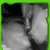Black-and-white pixelated image of a person's face with visible hand and arm, framed by green border.