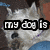 A pixelated dog with white fur and a blue collar appears in four with text overlays, each showing a different phrase