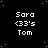 Black background with green pixelated dots, repeated text 'Sara <33's Tom' in white pixelated font , gray rectangle in bottom-right corner