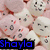 repeated pink and white rounded shapes with small black dot eyes, red accents, and the name 'Shayla' in different colored text overlays