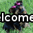 Animated sequence showing a person with purple hair, a dog, and a cat with a green collar, each with text overlays.