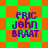 Four identical display purple text 'ERIC JOHN BRAAT' over a green and orange checkered background with diamond-shaped orange