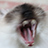 Flickr: The Help Forum: Can't see any images (China June 7th 12.30pm) 中国－看不见图片