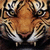 Pixelated close-up of a tiger's face with orange fur, black stripes, and white accents on the muzzle and cheeks.