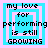 Four identical pixelated text arranged in a , each displaying 'my love for performing is still GROWING' with layered cyan and pink borders
