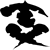 buddysite-15424