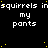 Pixelated text repeats 'squirrels insquirrels insquirrels' above 'my pants' on a black background with scattered yellow dots.