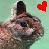 A pixelated close-up of a cat's face with a red heart symbol in the upper right corner against a light green background.