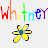A 4-frame animated contact sheet showing repeated rainbow-colored text "Whitney" with yellow flower icons between rows on a gray background.